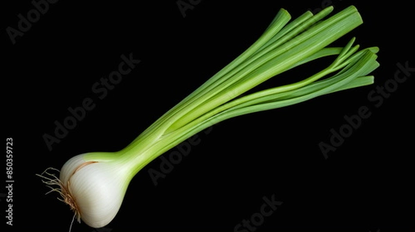 Obraz onion isolated on white