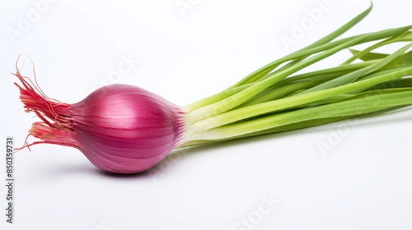 Obraz red onion