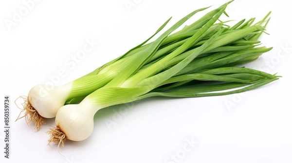 Obraz fresh green onion