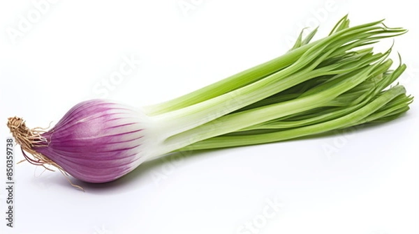 Obraz onion isolated on white