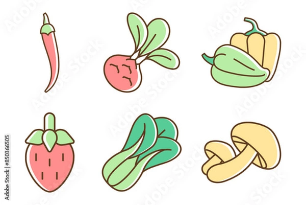 Fototapeta Collection of several types of vegetables such as mushrooms, pumpkin, chilies etc