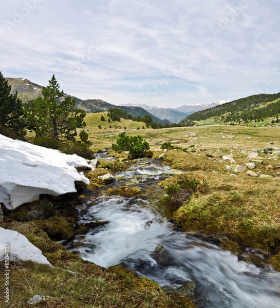 Fototapeta Spring stream of Perafita river in top of valley
