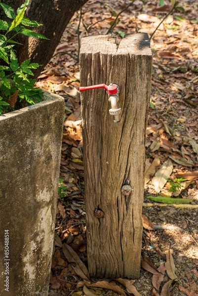 Fototapeta Faucet embedded in a tree stump. Rustic garden decoration.