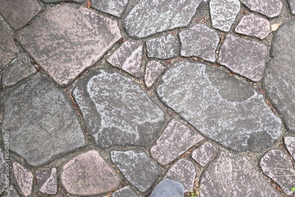 Fototapeta タイル