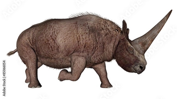Fototapeta Nosorożec elasmoterium dinozaur - renderowanie 3D