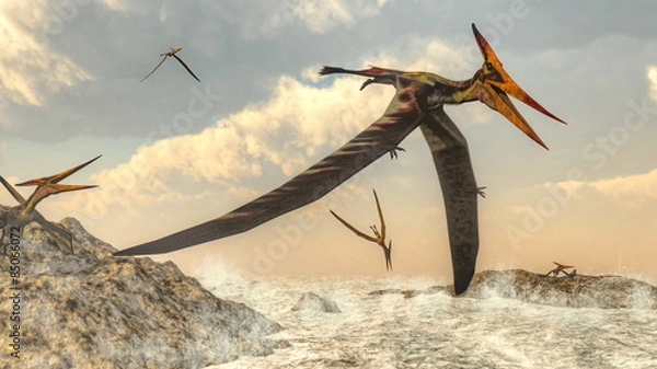 Obraz Ptaki Pteranodon latające - renderowanie 3D
