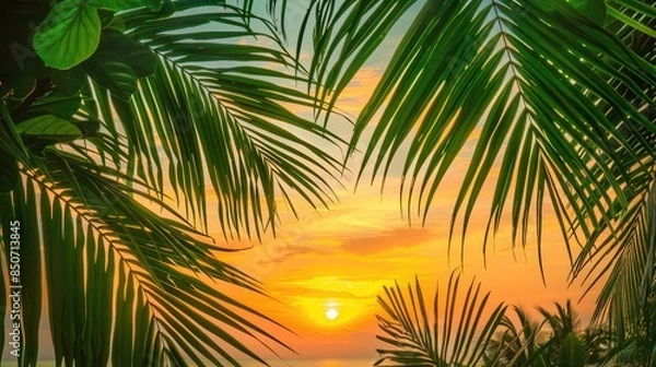 Fototapeta Close-up of tropical palm leaves against a sunset backdrop