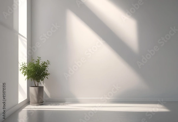 Fototapeta sun rays light from window on white wall in minimal style