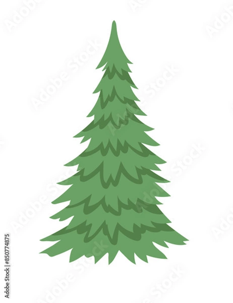 Fototapeta Green coniferous evergreen tree simple design vector illustration isolated on white background