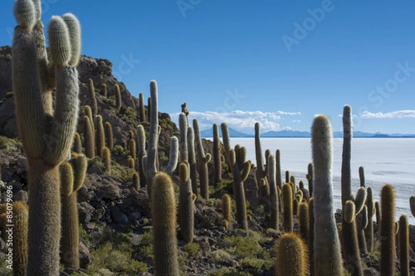 Fototapeta インカワシ島