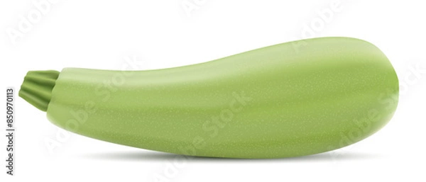 Fototapeta Vector drawing realistic 3d zucchini on white background.