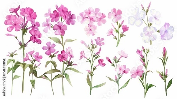 Fototapeta Delicate Floral Arrangement for Spring Decor Generative AI
