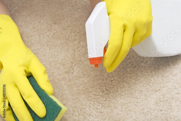 Fototapeta cleaning stain on a carpet