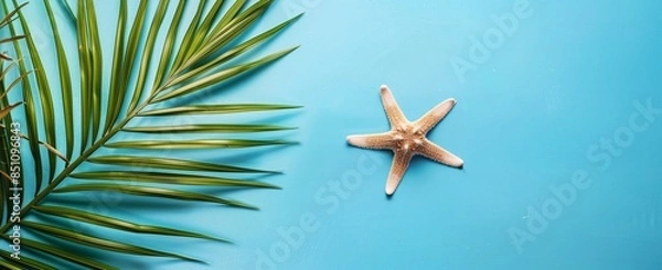 Obraz starfish on the beach