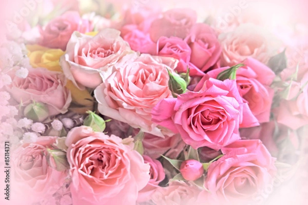 Obraz Roses bouquet  on soft background