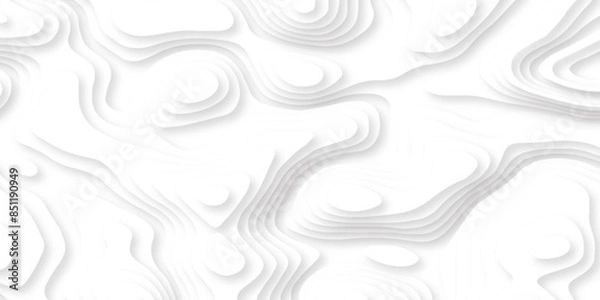 Fototapeta Abstract wave papercut layer white background. Topography map concept. Vector illustration