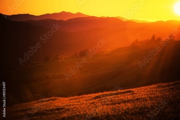 Obraz Summer Sunset Landscape