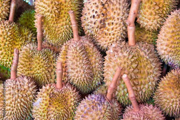 Obraz durian