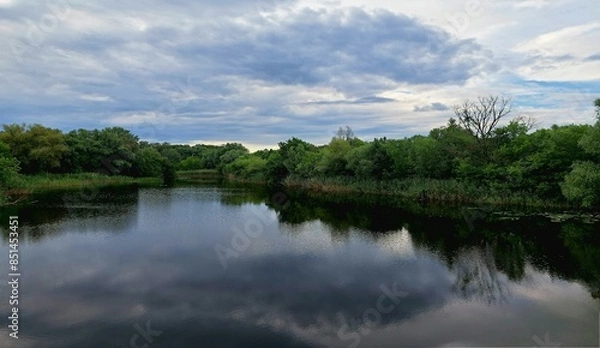 Obraz River backwater beside green trees over it