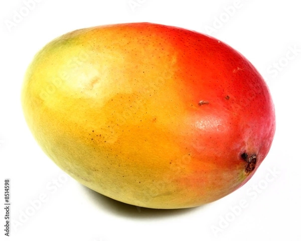 Fototapeta mango fruit isolated