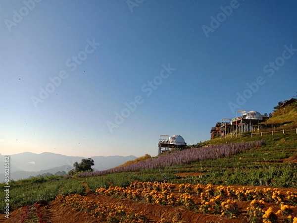 Obraz vineyard in the mountains
