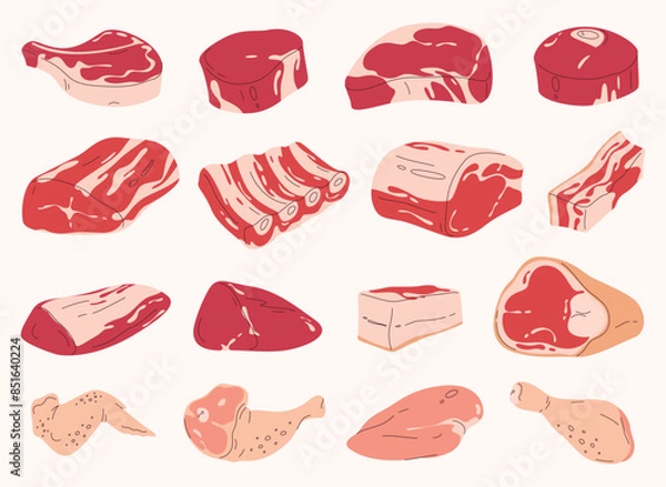 Fototapeta Set of fresh meat. Different parts of animal meat beef and pork. Vector illustration