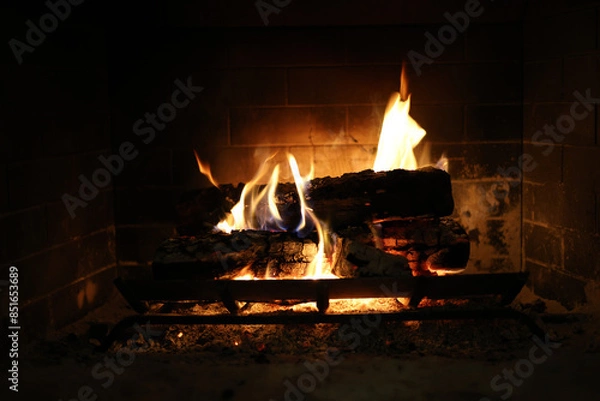 Obraz Crackling Fireplace