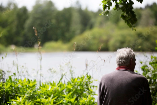 Obraz Back of older mans head and shoulders whilst  sitting down in countryside in front of a large lake with greenery and trees during summer
