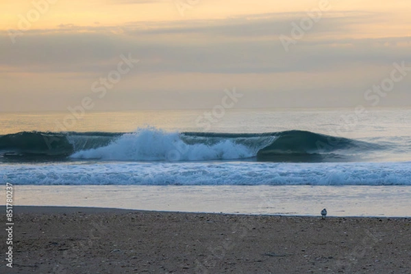 Obraz waves on the beach