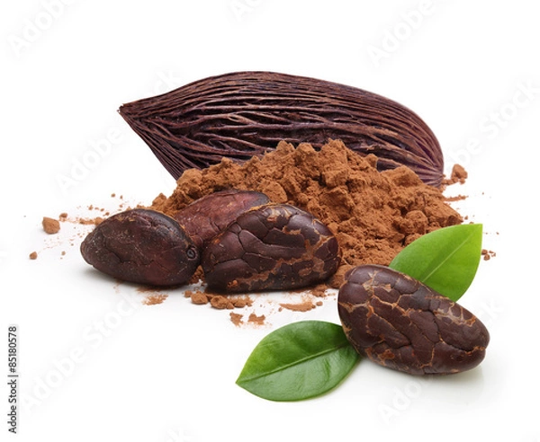 Obraz Kakao i proszek na białym tle