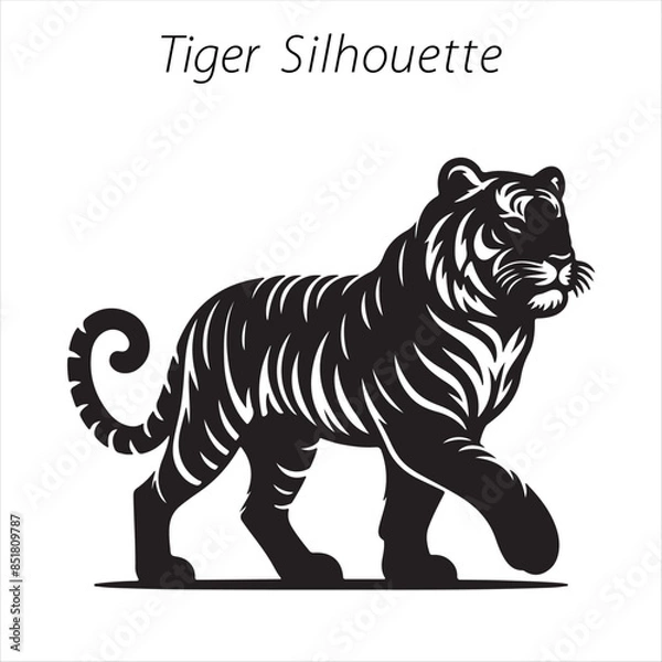 Obraz tiger on white background