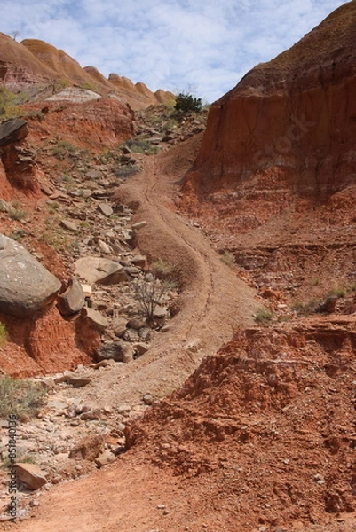 Obraz Canyon Trail