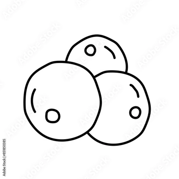 Fototapeta Acai berry in doodle style. Vector isolated on white background