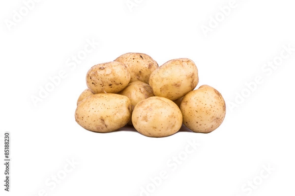 Obraz Potatoes