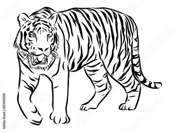 Obraz Roaring tiger logo design vector illustration