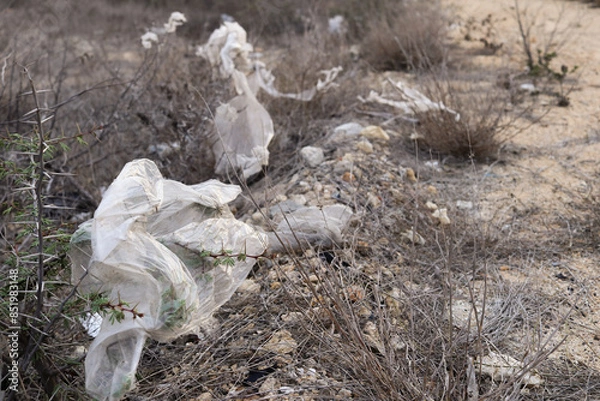 Fototapeta Littered Landscape: Plastic Bags in Dry Grass