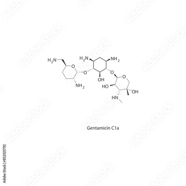 Fototapeta Diagram showing biosynthesis of Prostaglandins from Arachidonic acid via enzymatic reaction - schematic molecular strcuture chemical illustration.