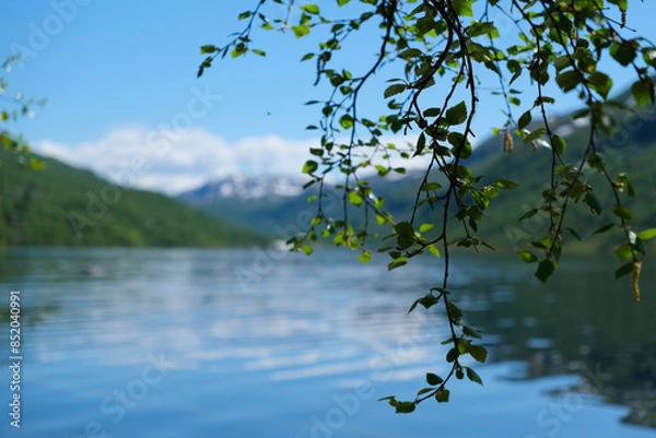 Obraz tree in the lake
