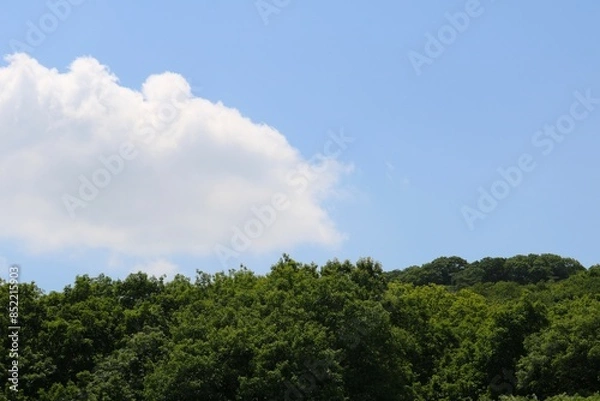 Fototapeta 青空と緑の山　初夏の風景