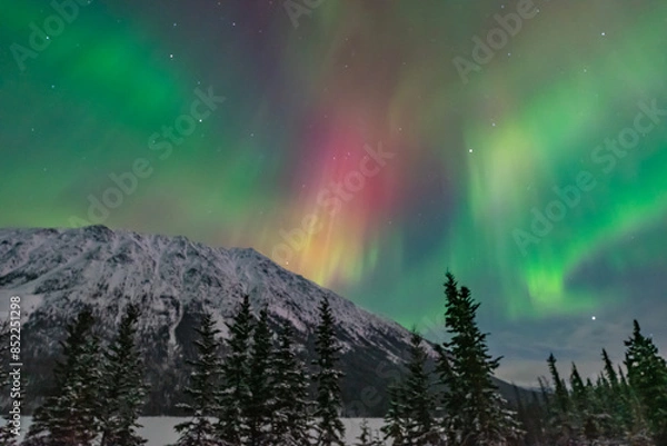 Fototapeta Northern lights aurora seen outside of Whitehorse in Yukon Territory, Canada during winter time with snow covered landscape