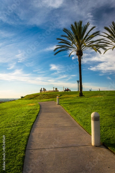 Obraz Palm trees and path at Hilltop Park, in Signal Hill, Long Beach,