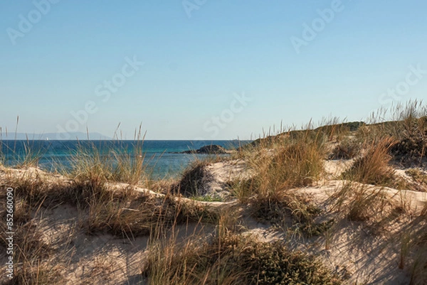 Fototapeta dunas y mar