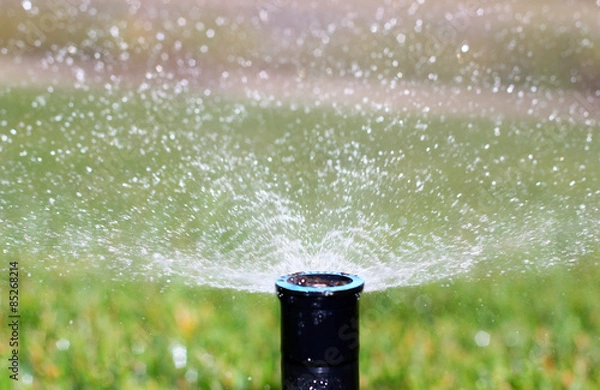 Obraz Sprinkler