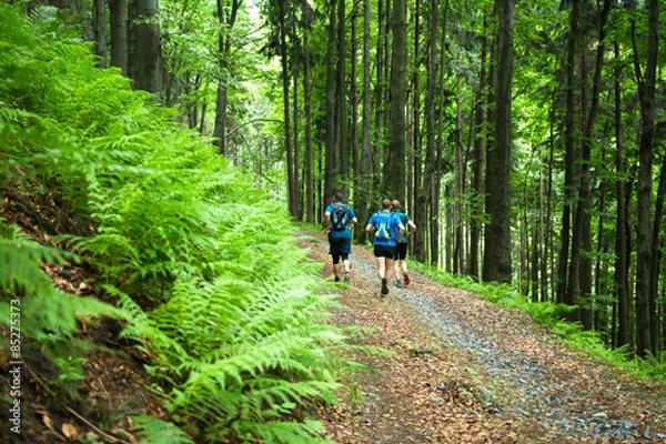 Obraz four men running together on the trail in the green forest 