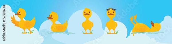 Obraz little ducks in various poses