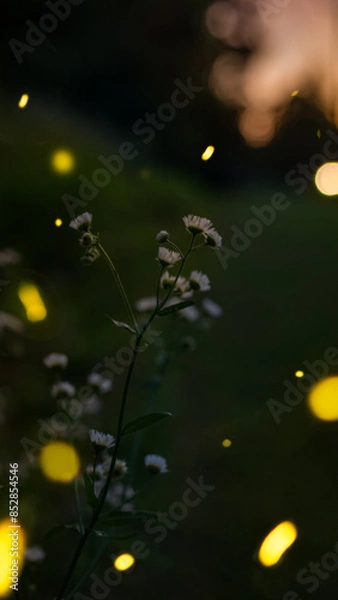 Obraz Fluttering Fireflies 