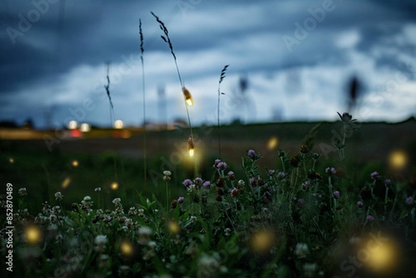 Obraz Synchronous Fireflies 