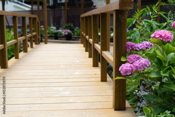 Fototapeta 紫陽花