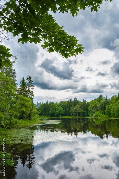 Obraz landscape with lake