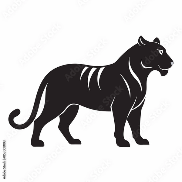 Fototapeta black and white tiger vector
